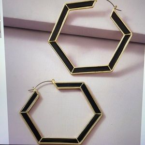 NWT Hexagon Earrings